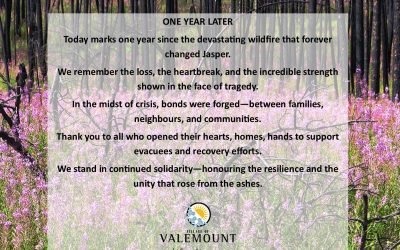 One Year After the Jasper Wildfire